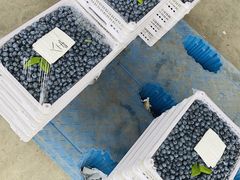 -东方鼎信农副产品交易中心