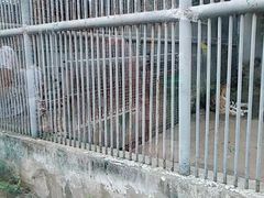 -祥源·阜阳生态乐园