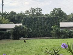 -凤来栖·净庭院·火锅(欧尚店)