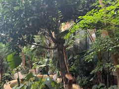 -稷泽·海丽宾雅温泉度假酒店