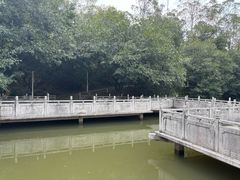 -大雁山风景区