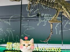 -香港科学馆