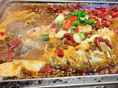 -炉鱼(亲橙里店)