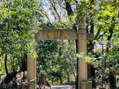 -上海佘山国家森林公园天马山园