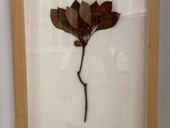 -香港科学馆