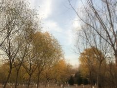 -大姐麻辣烫(莲宝中路店)