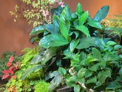 -隐炉和牛烧肉店(群力店)