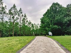 -同里国家湿地公园