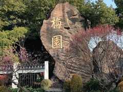 -无锡梅园公园