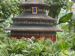 -南宫五洲植物乐园