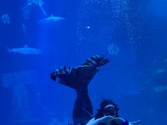 -太平洋海底世界