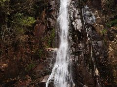 -姑婆山旅游区