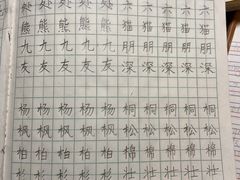 -赵汝飞练字硬笔书法(长寿路校区)