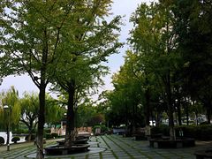 -东湖景区