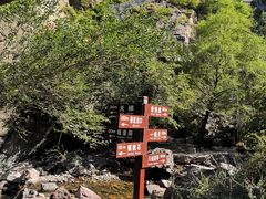 -小五台金河景区