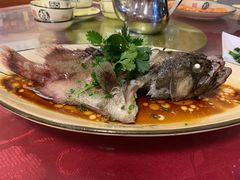 清蒸老虎斑-南海渔家•海鲜•正宗海南菜(海棠湾店)