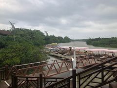 -东寨港红树林旅游区