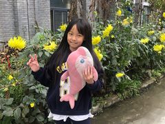-牛背梁国家森林公园
