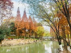 -大宁灵石公园西门票处
