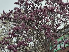 -苏州科技大学（石湖校区）二食堂