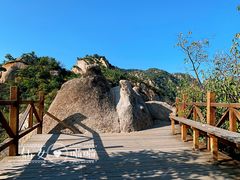 -大岭沟猕猴桃谷风景区