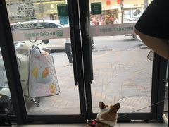 -科道动物医院·急重症中心(万达院)
