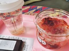 -喵屿·大理花园猫咖