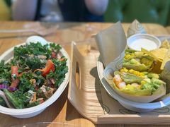 -油梨树AVOCADO TREE(望京店)
