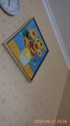 android_upload_pic-宝丽姿