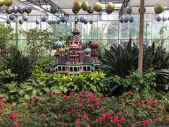 -南宫五洲植物乐园