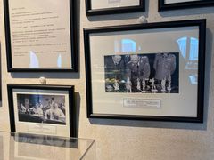 -Me Coffee下午茶艺术空间