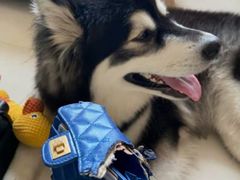 -爱革·洗衣改衣·洗鞋修鞋·洗包修包·奢侈品护理(宝地广场店)