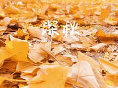 -浦江城市生活广场(江月路店)