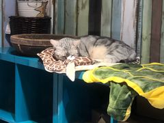 -小时光咖啡馆(开森度假森林店)