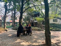 -汇龙潭