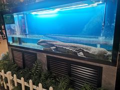 -九尊食上(生态园林酒店)