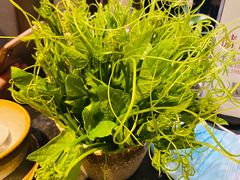 -新草堂锅物料理(泉城路店)