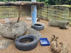 -泉州海丝野生动物世界