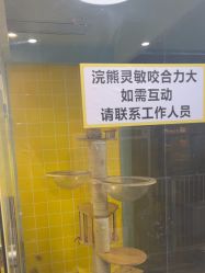 -神奇动物撸宠馆·羊驼·小浣熊·异宠(豫园店)