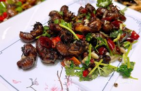 Pan-fried Cicadas