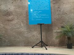 -青岛东方影都融创水世界