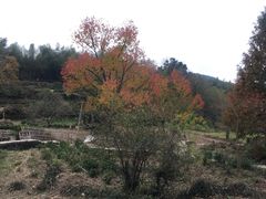 -塔川景区