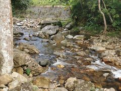 -广州市石门国家森林公园