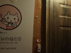 -猫猫幼稚园·撸猫·桌游·电玩