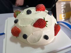 -BRIGNA百丽格娜·纯动物奶油生日蛋糕(武汉旗舰店)