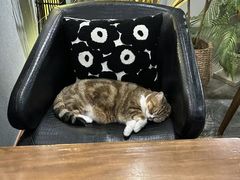 -咖法森林·咖啡  酒吧(天河店)