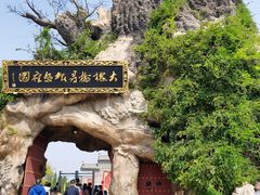 -大槐树寻根祭祖园
