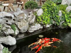 -鲤院·新中式美学·庭院餐厅(夫子庙店)