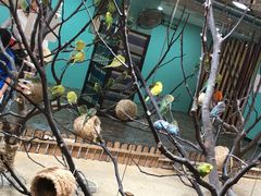 -上海大自然野生昆虫馆(东方明珠·爬宠昆虫探索中心)