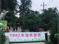 -1982农场
